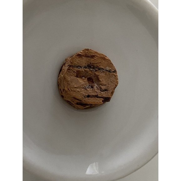 Takashi Ceramic Salt and Pepper Shakers‎ Orange Flowers - Picture 14 of 16